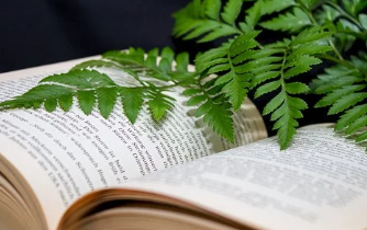 Կר2025ϰ(ʱ估רҵ)