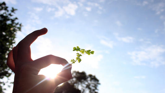 【学校政策】河南电大本科要读多久?学历好拿吗?