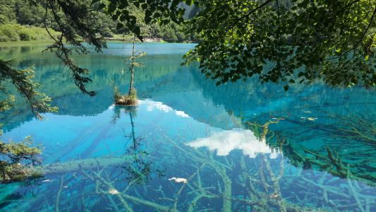 郑州电大报名要求是什么?考生需要准备什么材料?