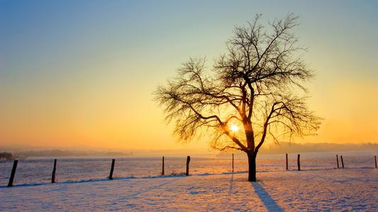 2022ﴨ˵רʱ估רҵ(ѧУ)