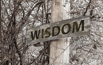 2025年郑州电大报名时间及条件(含专业)