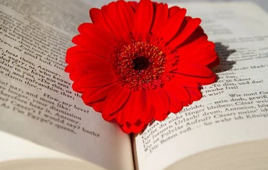 河南成人高考大专学历认可吗?(含金量)