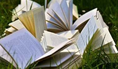 安阳师范学院成人高考