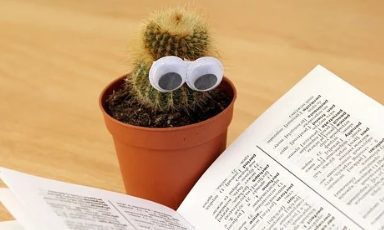 <a href=http://www.henan-zikao.com/interest/919.shtml target=_blank class=infotextkey>郑州师范学院成人高考</a>