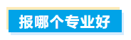 报哪个专业好