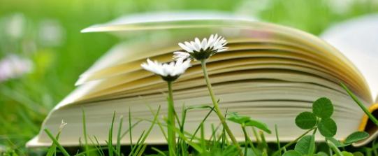 河南成人高考专升本中医学专业招生简章