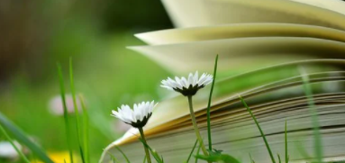 2025פг˸߿(רҵԺУ)