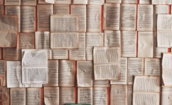 <a href=http://www.henan-zikao.com/help/1238.shtml target=_blank class=infotextkey>ũҵѧ˸߿</a>ȥı