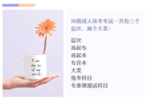 2025年洛阳成考大专考试科目有哪些(一览表)